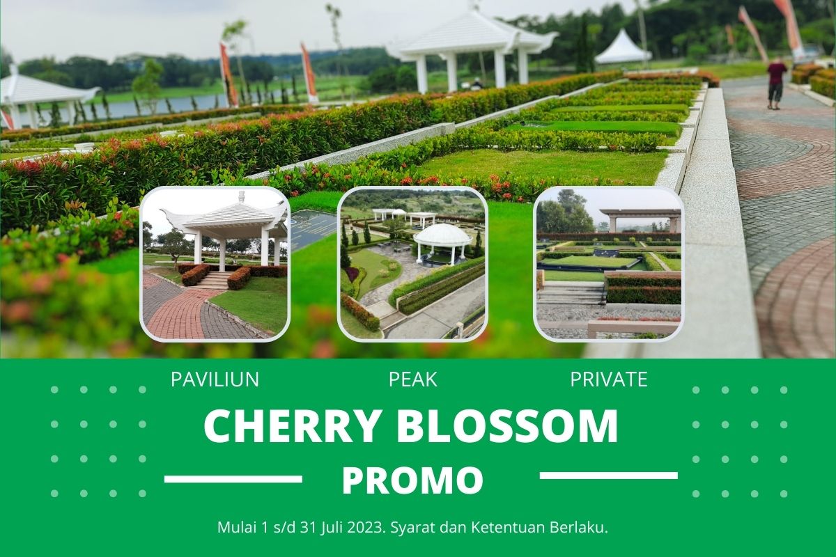 san diego hills cherry blossom promo