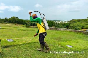 Ilustrasi perawatan makam di San Diego Hills yang menunjukkan perawatan rumput dan tanaman. Meskipun tidak ada biaya bulanan San Diego Hills, pengelola bertanggung jawab atas pemotongan rumput, pemupukan, dan penyiraman otomatis menggunakan sistem sprinkler modern, memastikan lahan makam tetap terjaga dengan baik.