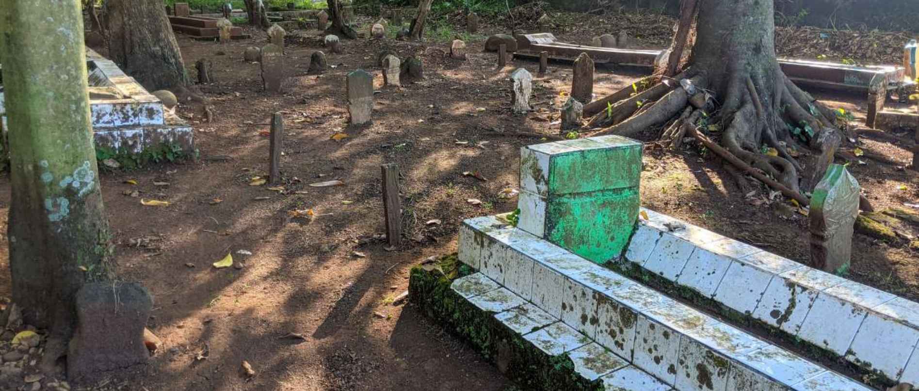 Taman Pemakaman Umum Tidak Terawat, Ayo Pindahkan Keluarga Anda Ke San Diego Hills Gambar Taman Pemakaman Umum Yang Tidak Terawat, Menampilkan Vegetasi Liar Dan Area Yang Tampak Terabaikan.